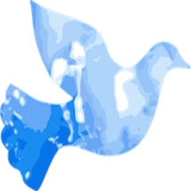 Blue Dove Counseling, LLC